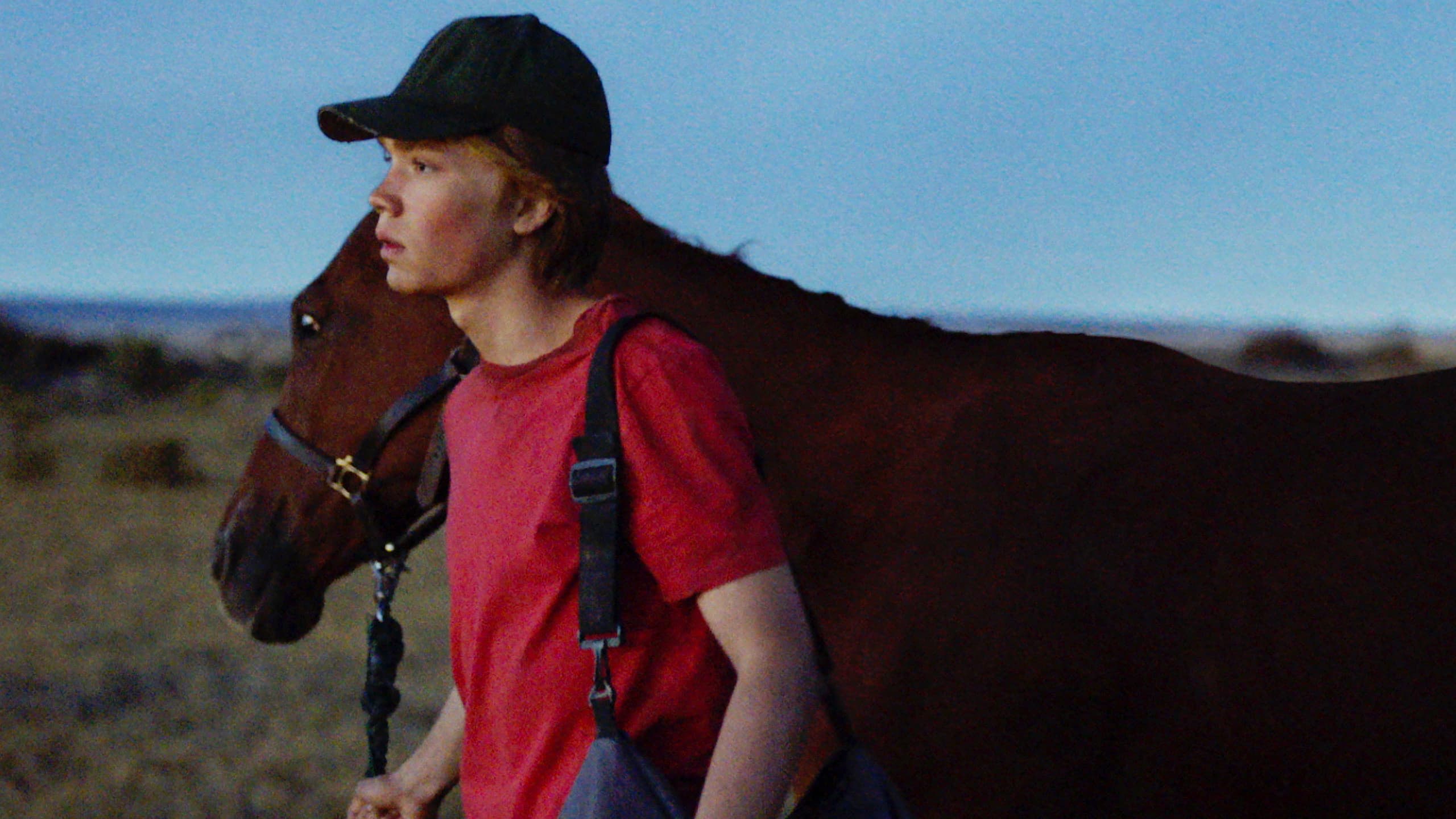 Lean On Pete