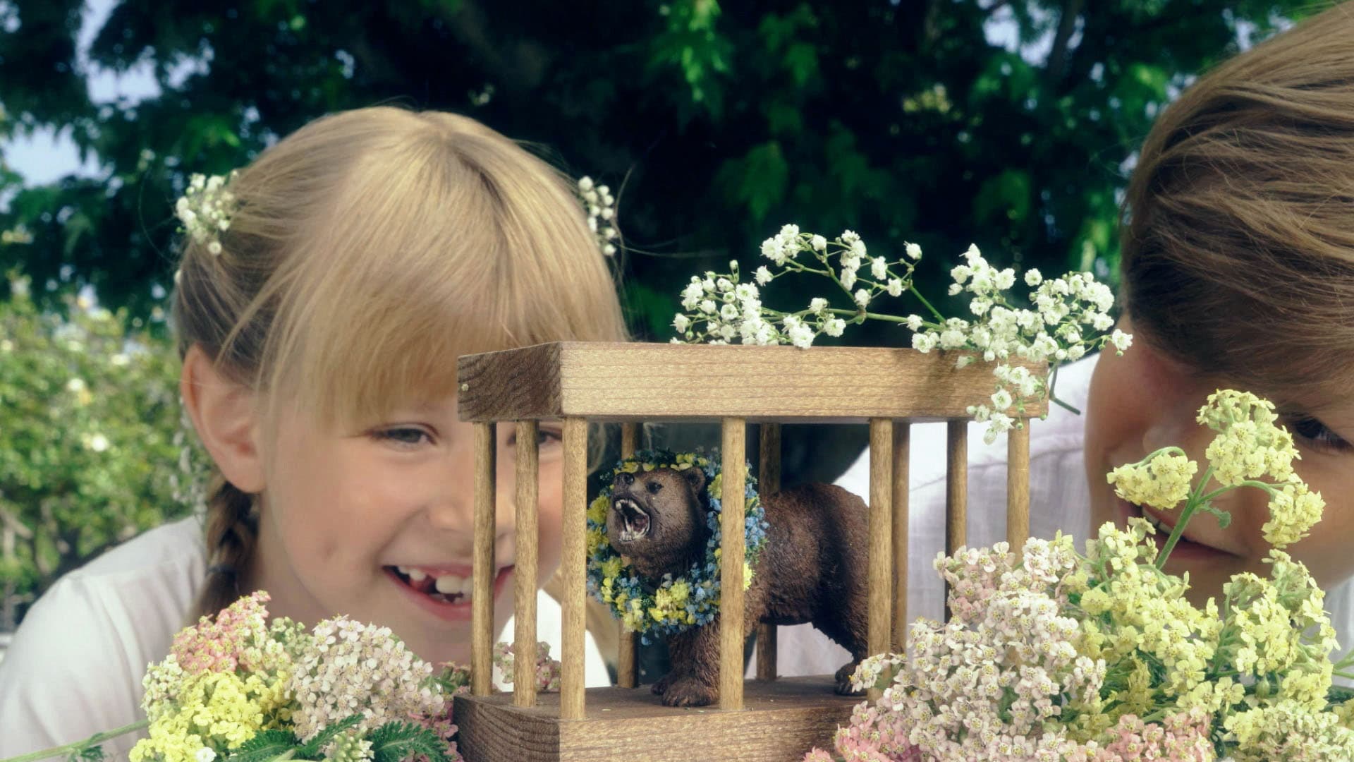Bear In A Cage! 