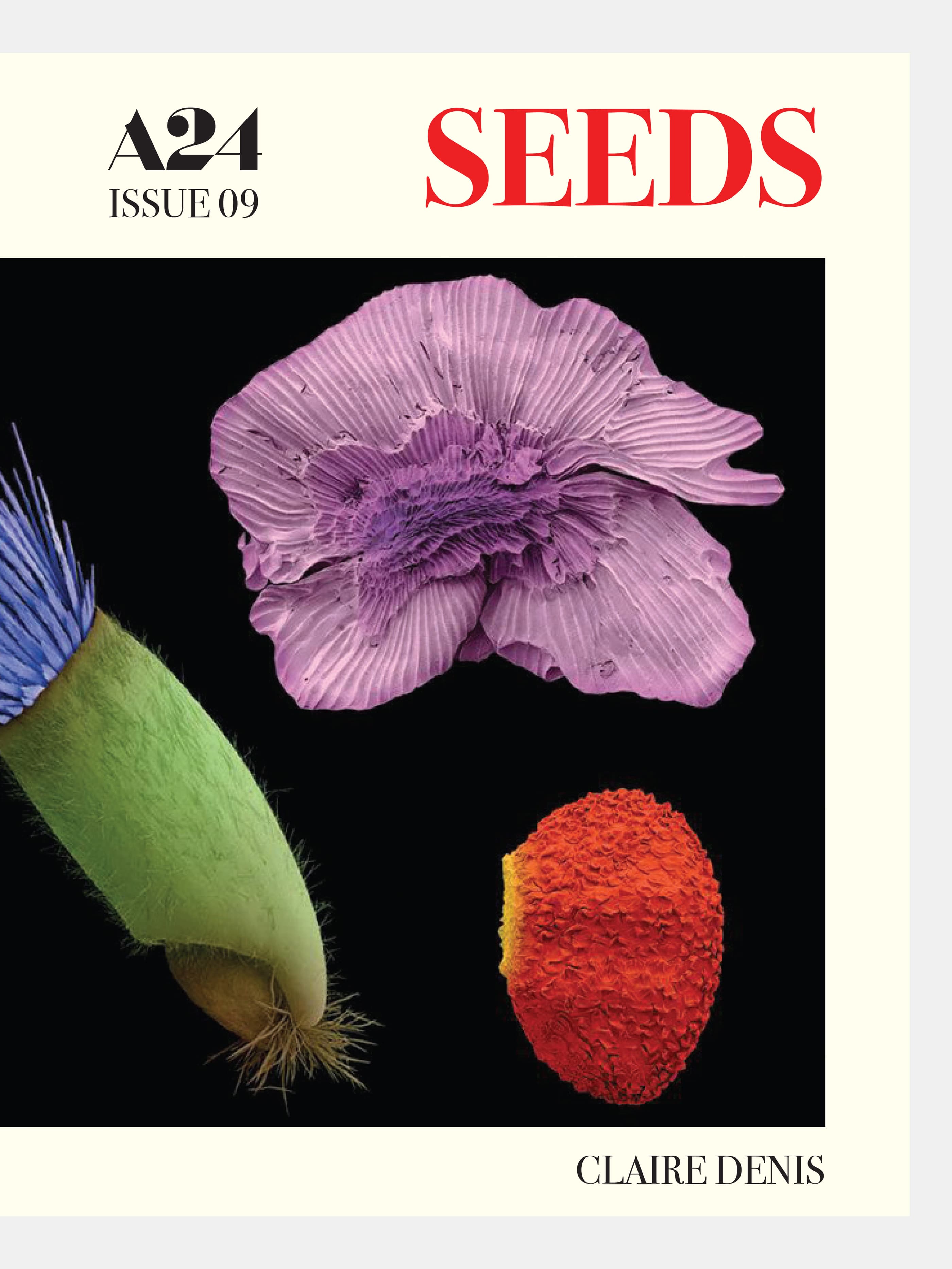 Issue 09: Seeds